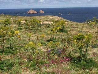 Villa Nadadouro Ambiente 33