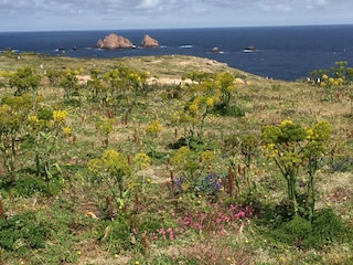 Villa Nadadouro Umgebung 33