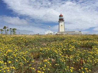 Villa Nadadouro Environnement 37