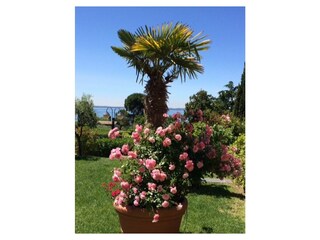 Casa per le vacanze Lazise Registrazione all'aperto 6