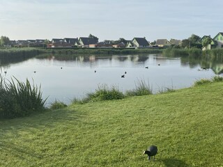 Casa per le vacanze Julianadorp Ambiente 27