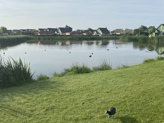 Ferienhaus Julianadorp Umgebung 27