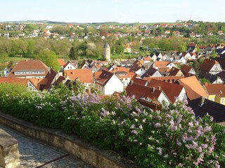 Blick auf die Warburger Altstadt