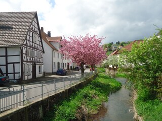 An der "Langen Reihe" in Dalhausen