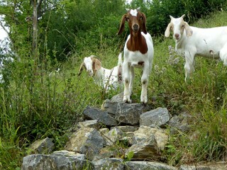 Beim Wandern in Dalhausen