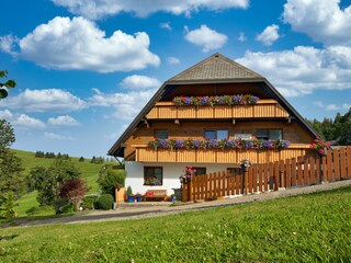 Holiday apartment Münstertal Outdoor Recording 2