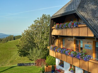 Holiday apartment Münstertal Outdoor Recording 3