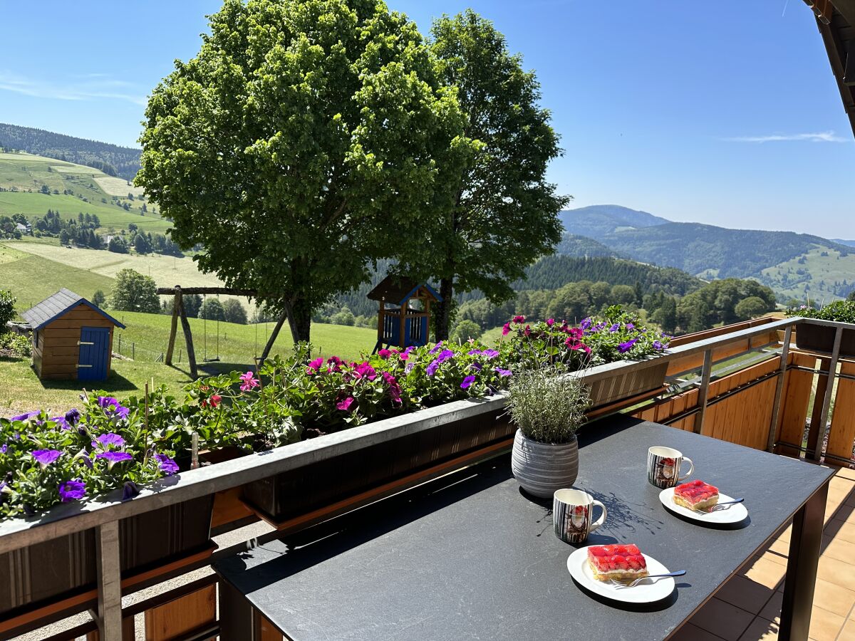 Ausblick vom Balkon