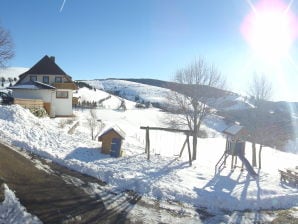 Ferienwohnung Heimatgefühl - Münstertal - image1