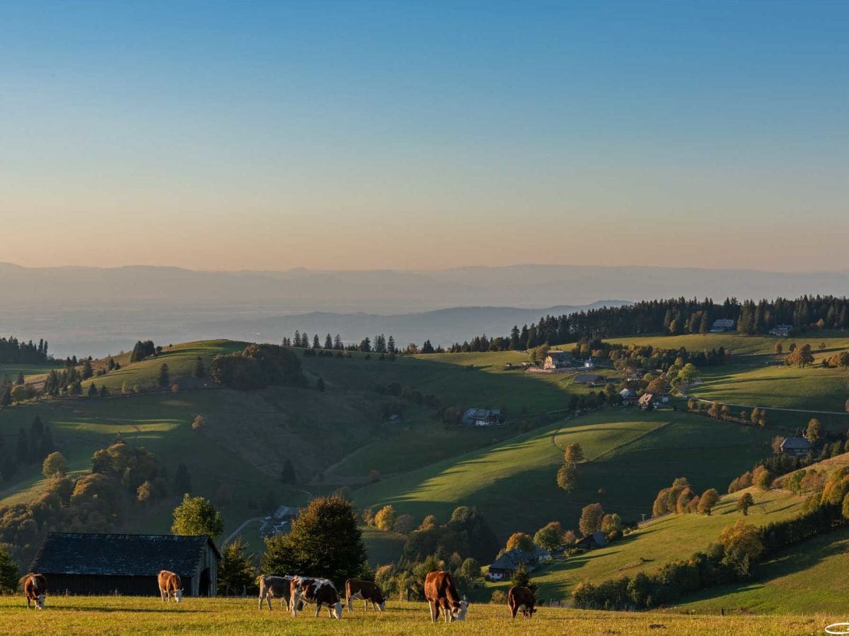 Ausblick beim Wandern