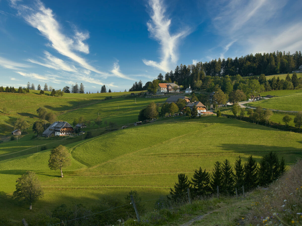 Ausblick zum Rotenhof