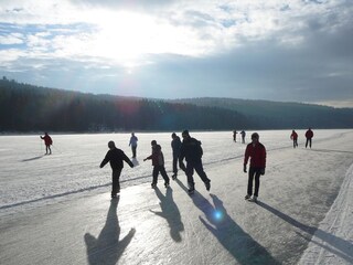 Schlittschuhlaufen am See