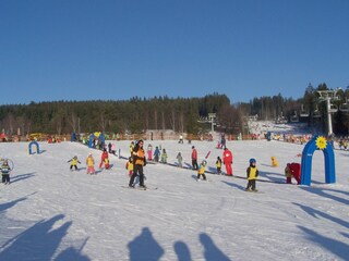 Foxpark Lipno