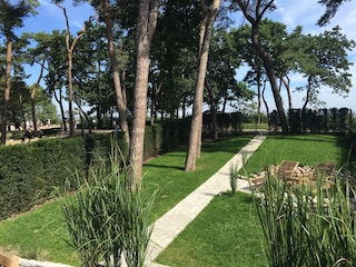 Der Garten mit Liegefläche