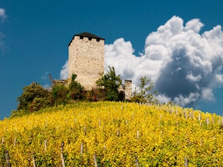 Ferienwohnung Lana Umgebung 18