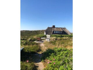 Weg zu den Dünen