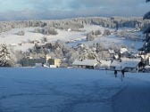 Schönwald im Winter