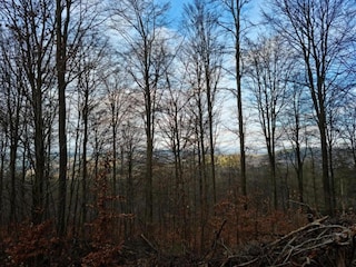 Ferienhaus Zierow Umgebung 28