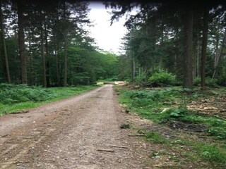 Vakantiehuis Zierow Omgeving 39