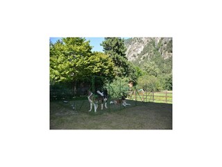 Chalet Antey Saint André Buitenaudio-opname 12