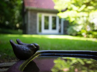 Casa per le vacanze Groot Valkenisse Registrazione all'aperto 12