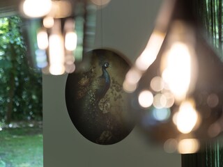 Casa per le vacanze Groot Valkenisse Caratteristiche 36