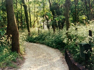 Casa per le vacanze Groot Valkenisse Ambiente 39