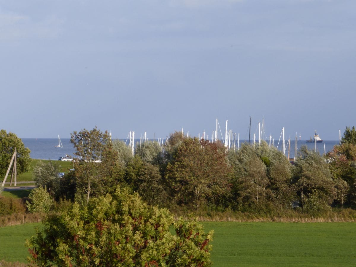 Blick vom Balkon nach Osten