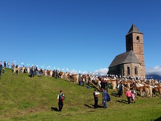 Appartamento per vacanze Meran Ambiente 12