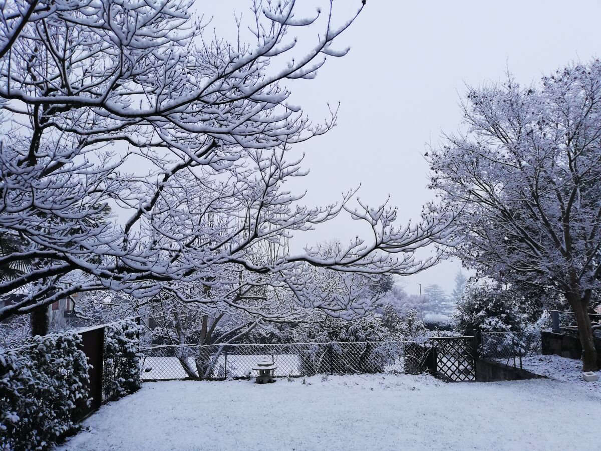 Garten im Winter