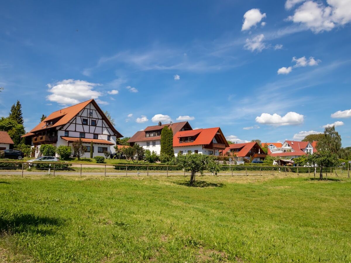 Blick auf das Weingut