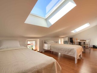 Villa Šišan Caratteristiche 18