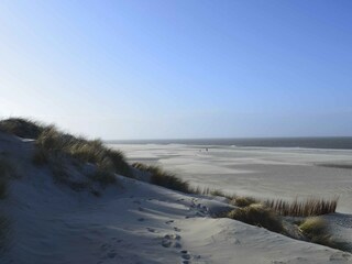 Vakantiehuis De Koog  15