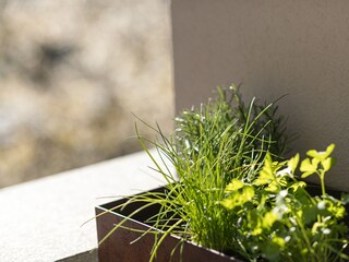 Apartamento de vacaciones Steinegg Grabación al aire libre 10