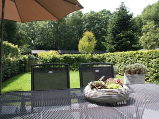 Vakantieappartement Schoorl Omgeving 3