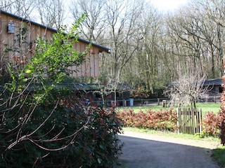 Holiday apartment Schoorl Outdoor Recording 7