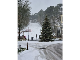 Holiday apartment Schoorl Environment 16