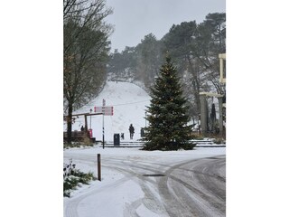 Vakantieappartement Schoorl  19