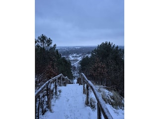 Holiday apartment Schoorl Environment 17