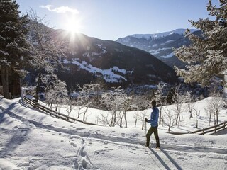 Type de propriété : Ferme Hopfgarten im Brixental Environnement 26