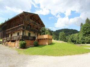 Casa rural Granja en Hopfgarten cerca del área de esquí - volea alta - image1