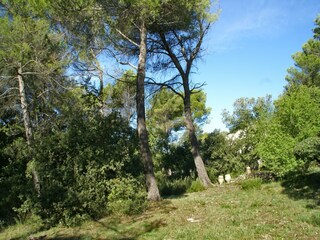 Villa Saint-Pierre-de-Vassols Grabación al aire libre 2