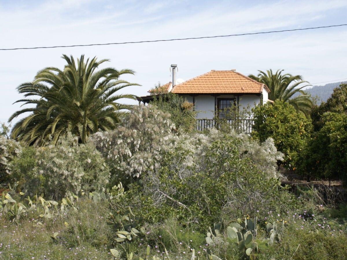 Casa Lucia in a subtropical garden