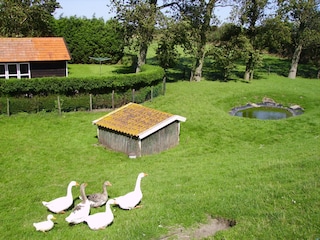 Appartamento per vacanze Vrouwenpolder Registrazione all'aperto 3