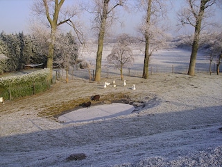 Appartamento per vacanze Vrouwenpolder Ambiente 18