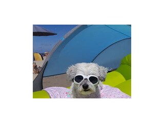 Villa Julianadorp Ambiente 27