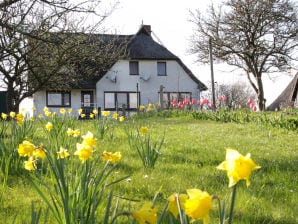 Ferienwohnung Boddenblick 1 - Ahrenshoop - image1