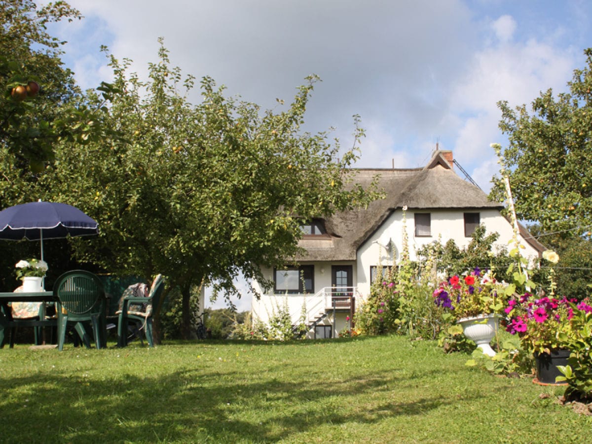 Gartenblick mit Sitzplatz unter Obstbäumen