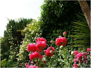 Vakantiehuis Plogoff Buitenaudio-opname 5