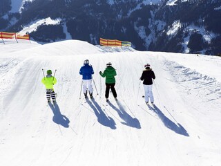 Chalet de ski Hochkrimml Environnement 17